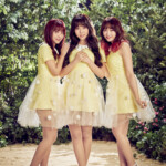 Honey Popcorn 허니팝콘 Honey Popcorn