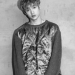 Stray Kids Bang Chan 스트레이 키즈 방찬 Bang Chan Stray Kids