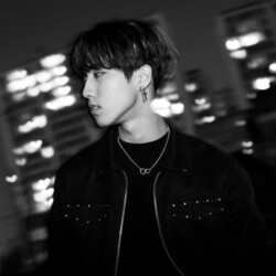 Stray Kids Han 스트레이 키즈 한 Han Stray Kids