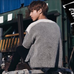 Stray Kids Han 스트레이 키즈 한 Han Stray Kids