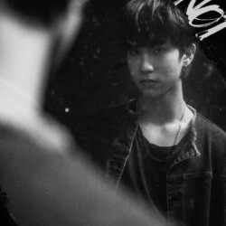 Stray Kids Han 스트레이 키즈 한 Han Stray Kids