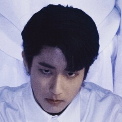 Stray Kids Han 스트레이 키즈 한 Han Stray Kids