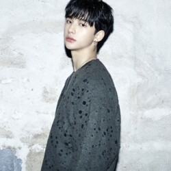 Stray Kids Hyunjin 스트레이 키즈 현진 Hyunjin Stray Kids