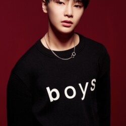 Stray Kids IN 스트레이 키즈 아이엔 IN Stray Kids