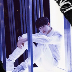 Stray Kids IN 스트레이 키즈 아이엔 IN Stray Kids