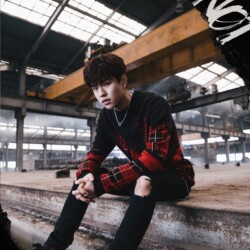 Stray Kids Seungmin 스트레이 키즈 승민 Seungmin Stray Kids