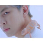 Hongbin Scentist