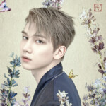 VIXX Shangri La