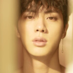 Jin Fake Love