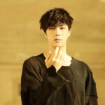 Jin Fake Love