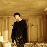 Jin Fake Love