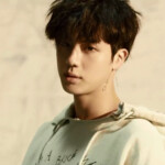 Jin Fake Love