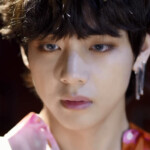V Fake Love