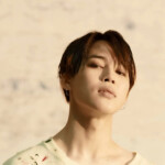 Jimin Fake Love