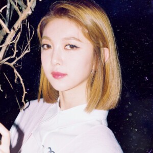 Dami (Dream Catcher) Profile - K-Pop Database / dbkpop.com