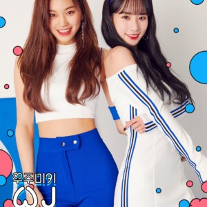 WJMK Members Profile - K-Pop Database / Dbkpop.com