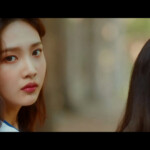 Red Velvet Joy