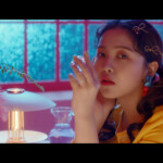 Red Velvet Yeri