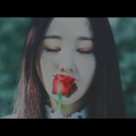 Yves Love4eva