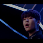 Woojin Boomerang
