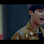 Woojin Boomerang