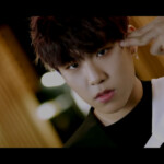 Woojin Boomerang