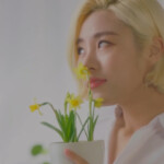 Wheein Everyday