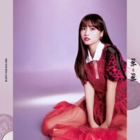 Yes Or Yes Momo