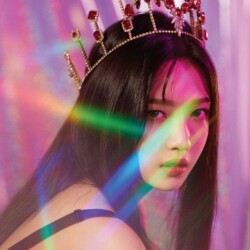 Red Velvet RBB Joy Joy RBB