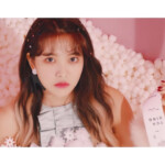 Yeri Sappy