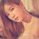 Apink Percent Chorong Chorong Percent