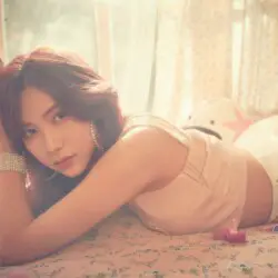 Apink Percent Hayoung Hayoung Percent