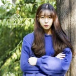 Layeon Purplebeck Purplebeck Layeon