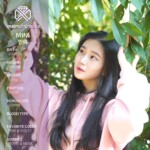 Mini Purplebeck Purplebeck Mini