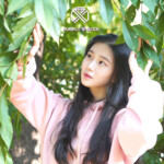 Mini Purplebeck Purplebeck Mini