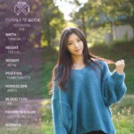 Yeowool Purplebeck Purplebeck Yeowool