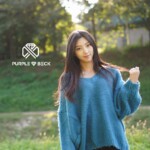 Yeowool Purplebeck Purplebeck Yeowool