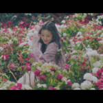 Wonyoung Violeta