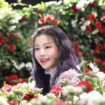 IZONE HeartIZ Wonyoung IZONE Wonyoung