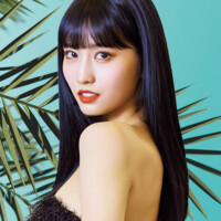Momo  Fancy HD