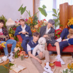 TXT Cat & Dog Concept TXT Cat & Dog Concept