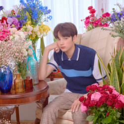 TXT Hueningkai Cat & Dog Concept TXT Hueningkai Cat & Dog Concept