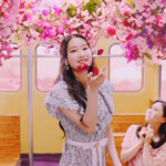 Jiho Oh My Girl 지호 오마이걸