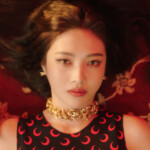 Red Velvet Joy Zimzalabim Joy Zimzalabim