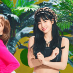 Momo Happy Happy