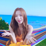 Bona Boogie Up