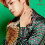 AB6IX Woojin B:Complete AB6IX Woojin