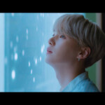 Suga Lights