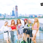 FANATICS The Six FANATICS The Six