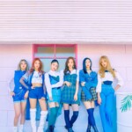 FANATICS The Six FANATICS The Six